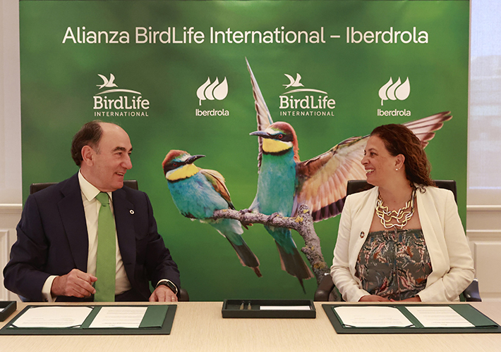 Foto Iberdrola y Birdlife International firman una alianza para proteger la biodiversidad.